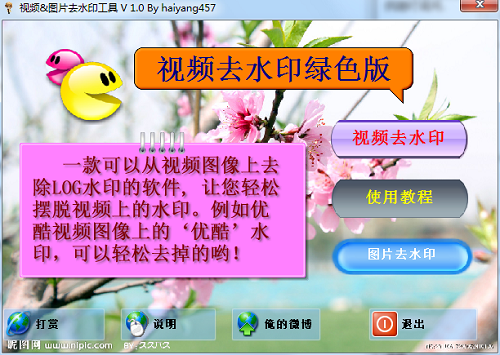 视频&图片去水印工具绿色版截图