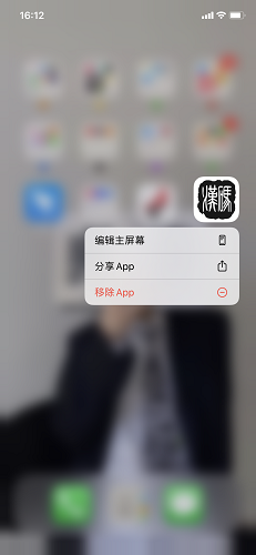 汉码截图