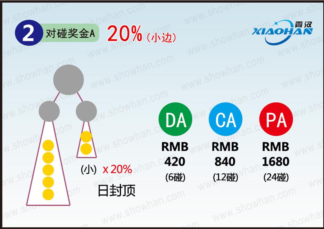 广州霄汉双轨制直销系统企业版截图