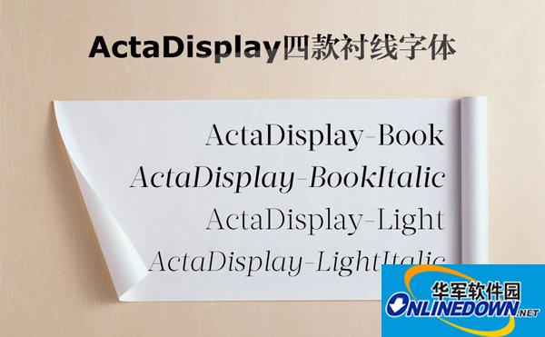 ActaDisplay截图