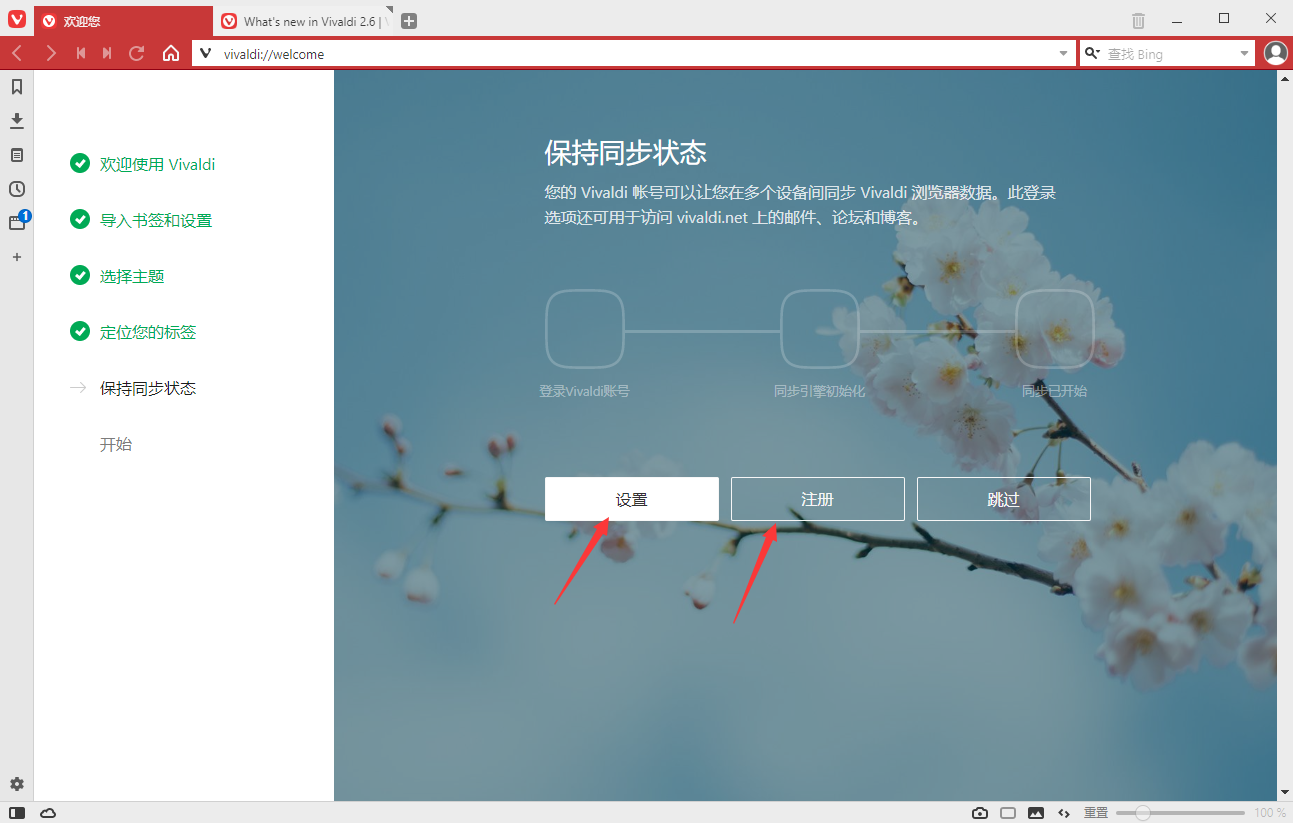 Vivaldi浏览器截图