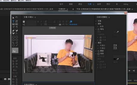 Adobe Premiere Pro(视频编辑)截图