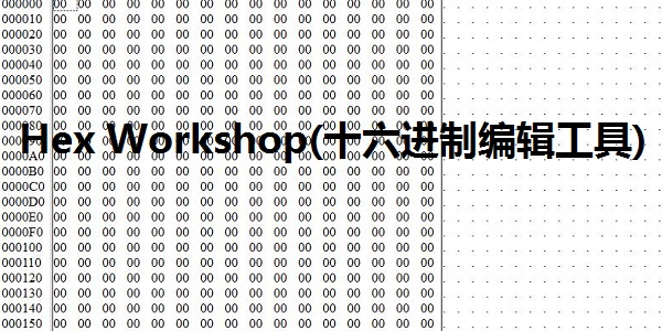 Hex Workshop(十六进制编辑工具)截图