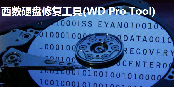 西数硬盘修复工具(WD Pro Tool)截图