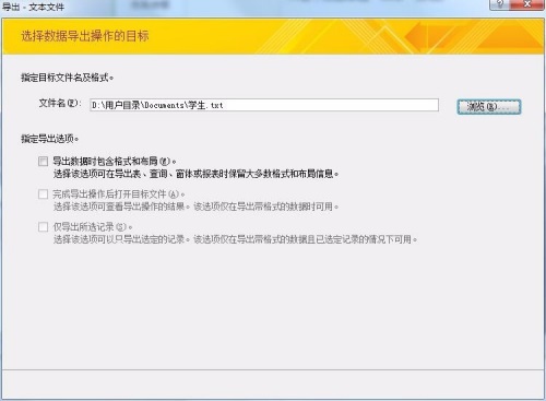 Microsoft Access 2007截图