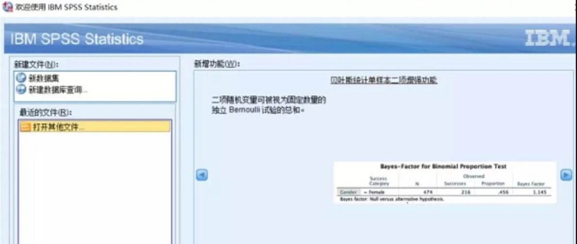 IBM SPSS Statistics截图