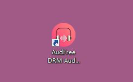 AudFree DRM Audio Converter截图