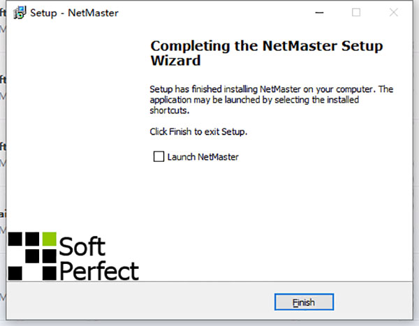 SoftPerfect NetMaster截图