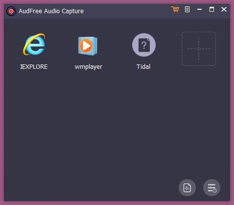 AudFree Audio Capture截图