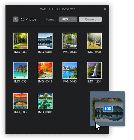WALTR HEIC Converter截图