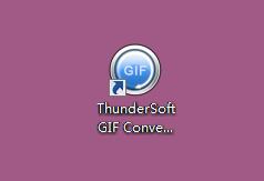 ThunderSoft GIF Converter截图