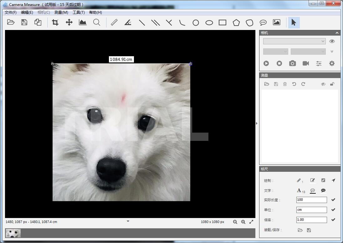 Camera Measure截图