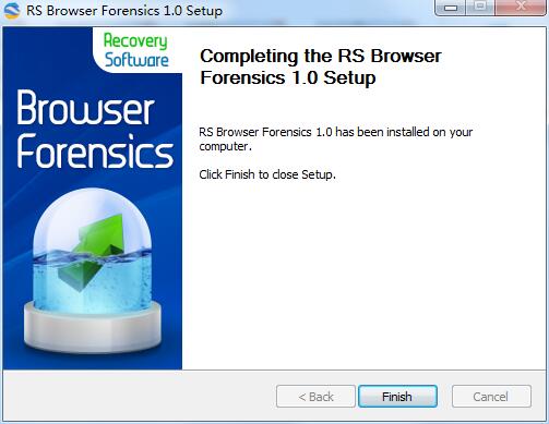 RS Browser Forensics截图