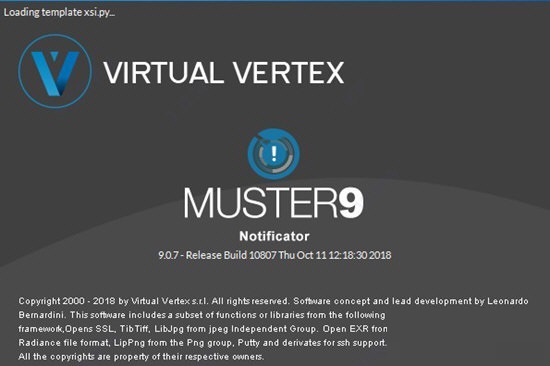 Virtual Vertex Muster截图