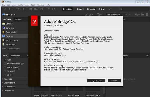 Adobe Bridge CC 2019截图