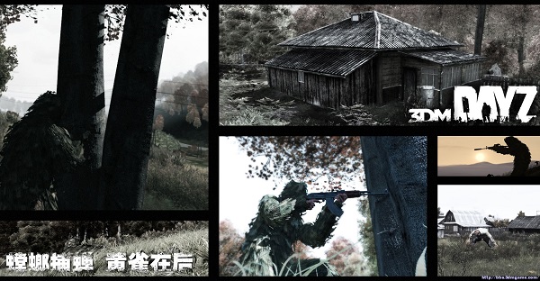 dayz独立版截图