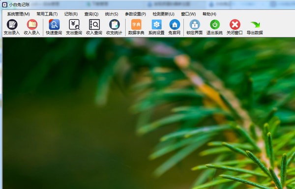 小白兔记账截图