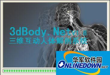 三维人体解剖软件(3dBody)截图