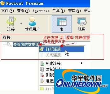 navicat premium 64位截图