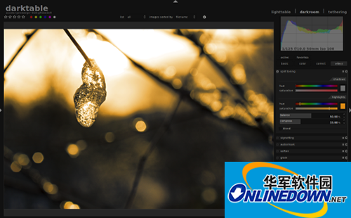 Darktable Mac版截图