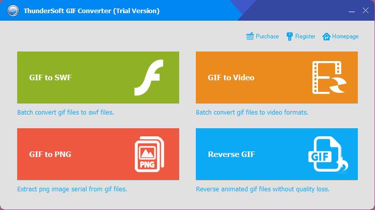 ThunderSoft GIF Converter截图