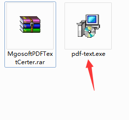 Mgosoft PDF Text Converter截图