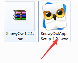 SnowyOwl截图