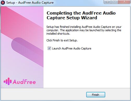 AudFree Audio Capture截图