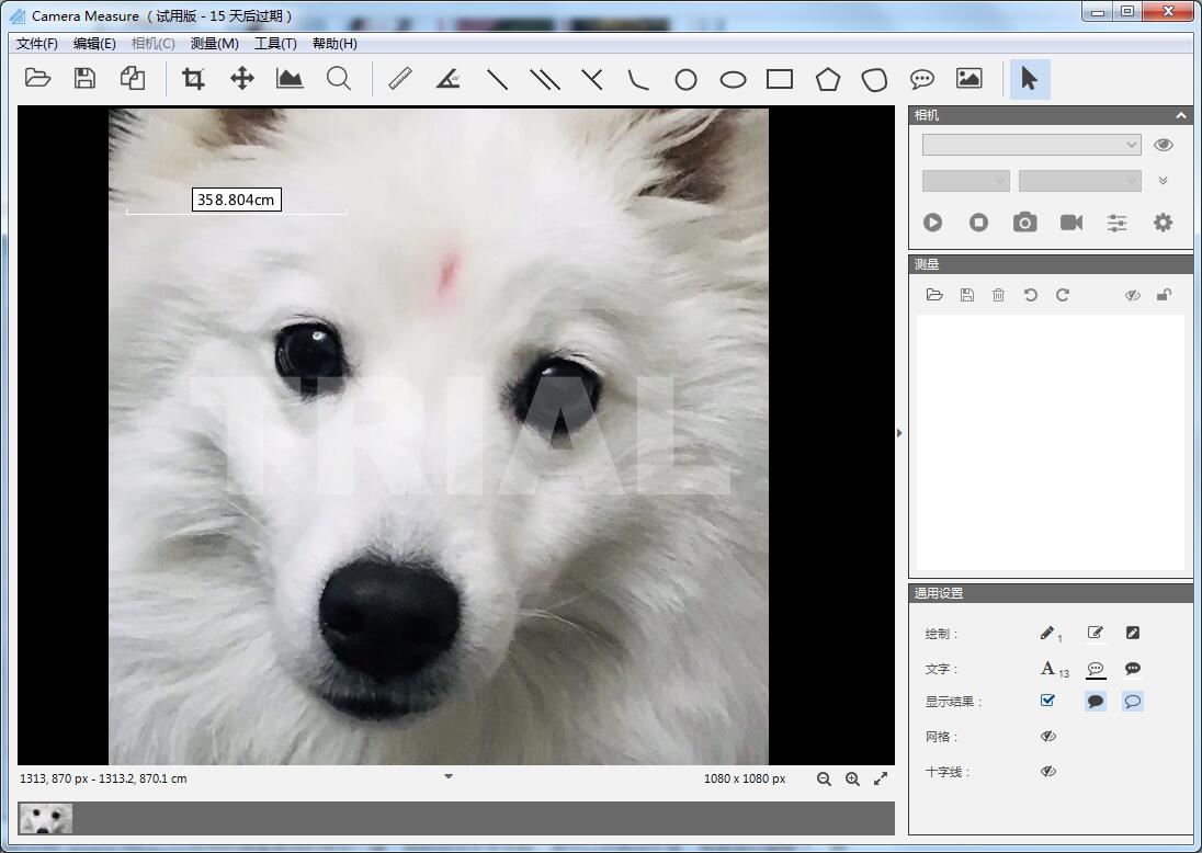 Camera Measure截图