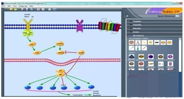 Pathway Builder Tool截图