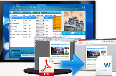 Vibosoft PDF to Word Converter截图