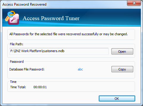 Cocosenor Access Password Tuner截图