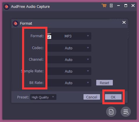 AudFree Audio Capture截图