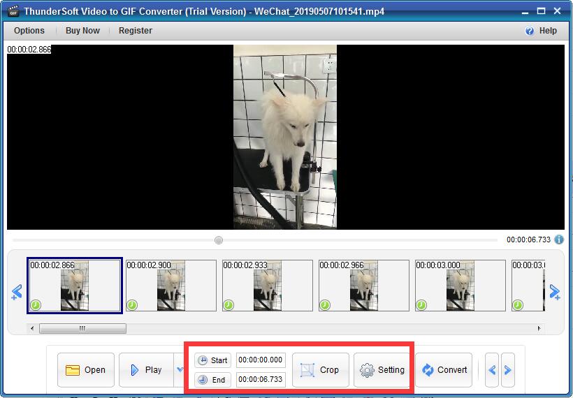 ThunderSoft Video to GIF Converter截图