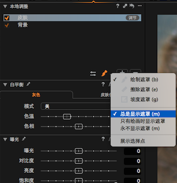 capture one 9中文免费版截图