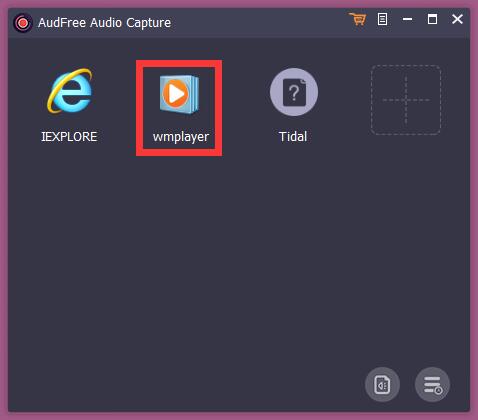 AudFree Audio Capture截图