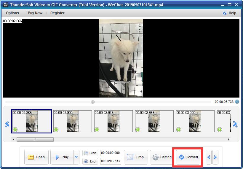 ThunderSoft Video to GIF Converter截图