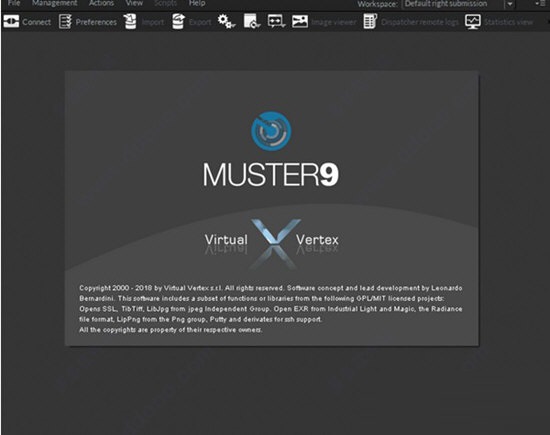 Virtual Vertex Muster截图