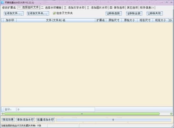 天音批量加水印大师截图