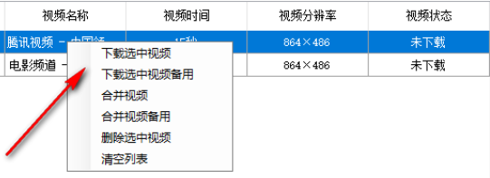 马赛克视频助手截图