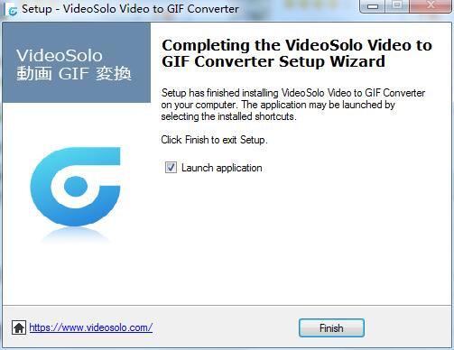 VideoSolo Video to GIF Converter截图