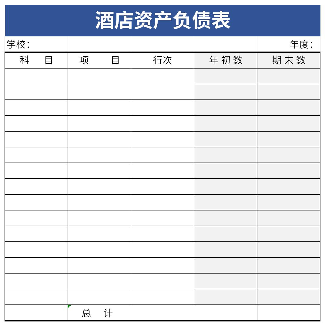 酒店资产负债表截图