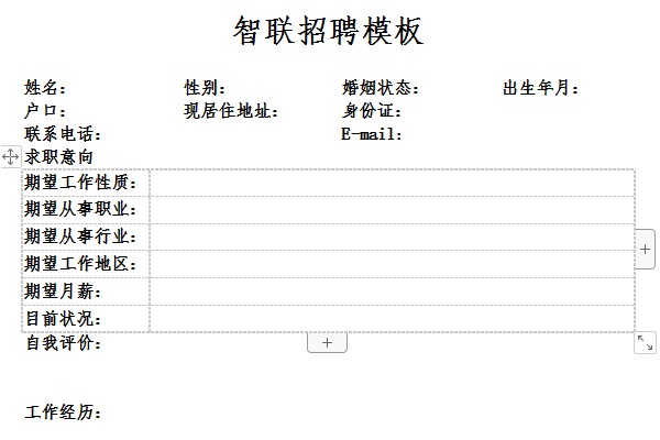 智联招聘模板截图