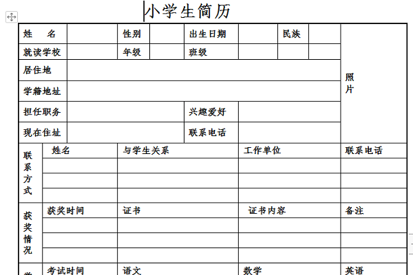 小学生简历模板升初截图