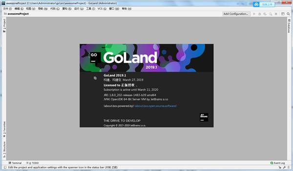 GoLand 2019截图