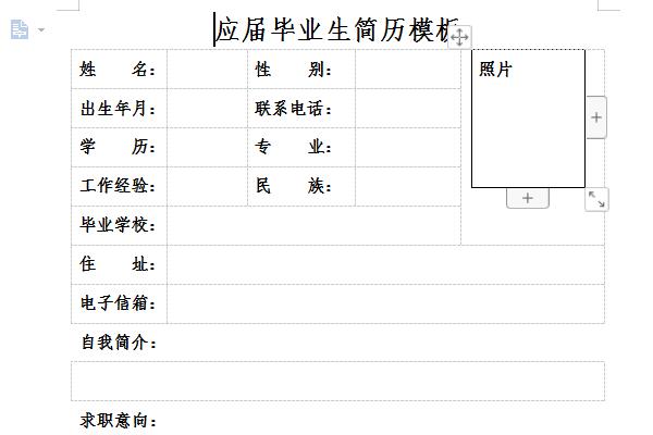 应届生求职简历模板截图