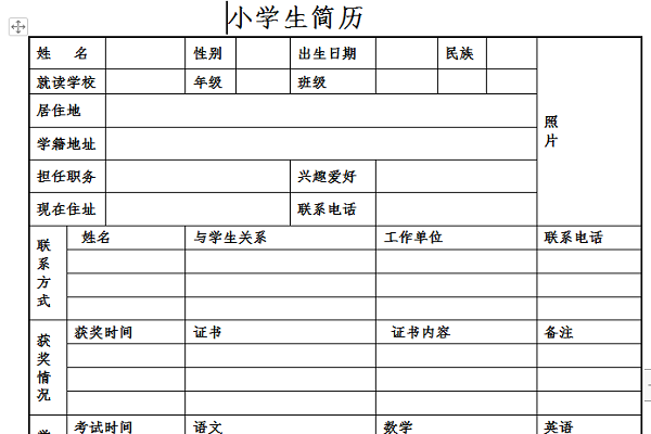 小升初简历截图