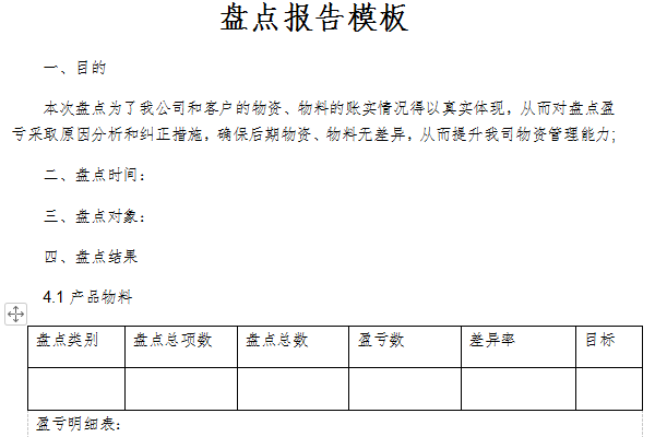 盘点报告模板截图