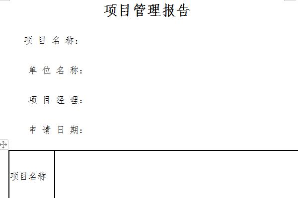 项目管理实践报告截图