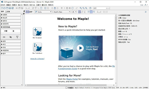 Maple 2020截图